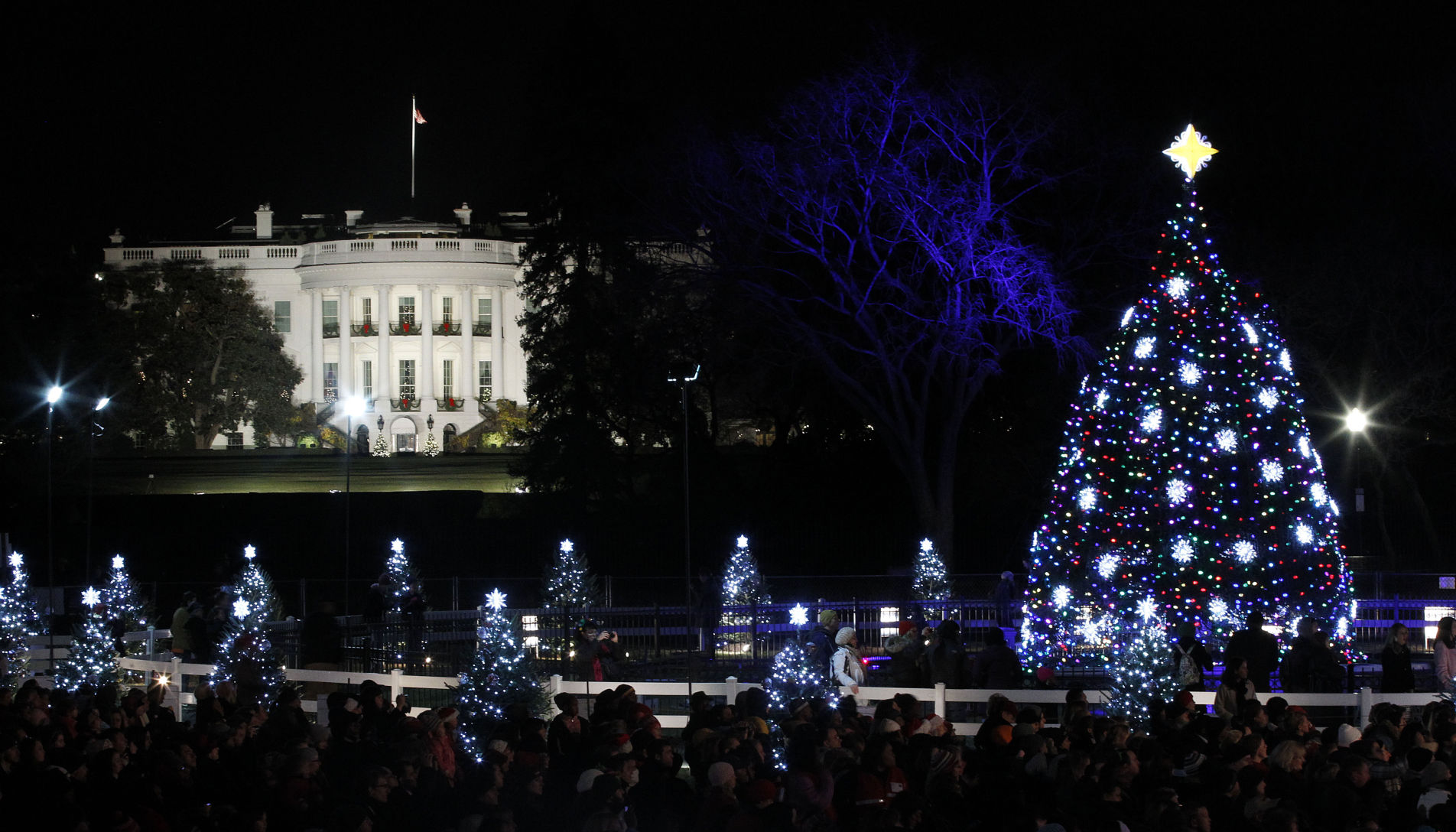 Obama National Christmas Tree